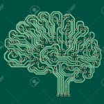 cerebros digitales ¿Chatbots de hoy cerebros digitales del siglo 22?