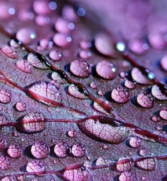 los detalles importan