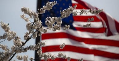 Business USA and Spain, what a big difference in systems, USA 10, Spain 0 4 negocios usa, Business USA
