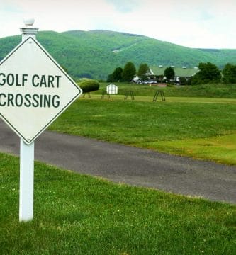 riqueza y abundancia