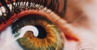 eye exam, examen ocular. human eye close-up photography